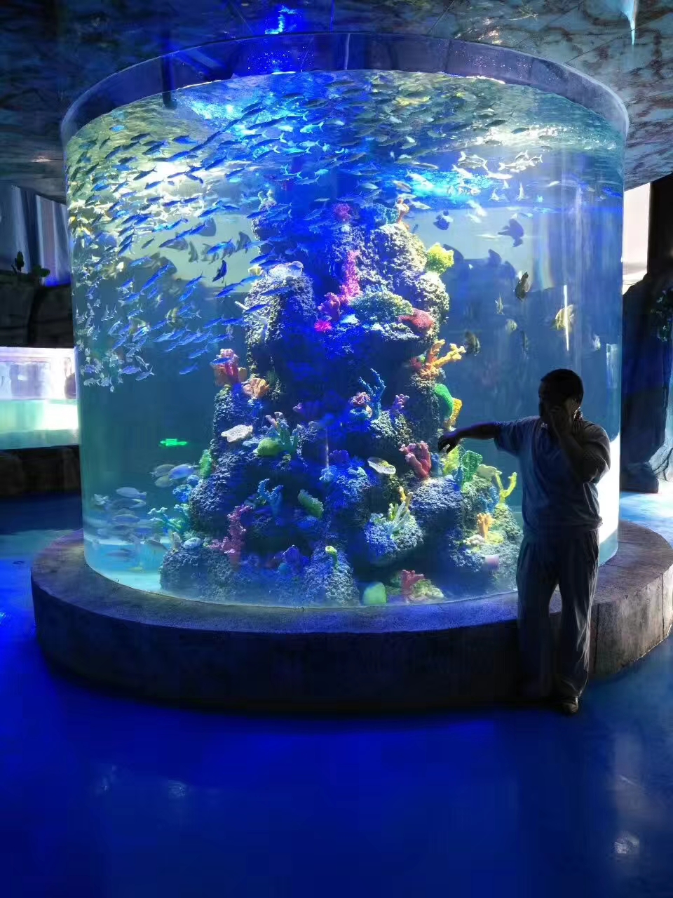圓柱型亞克力魚缸定制